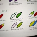 우리가족 힐링 아트테라피 이미지