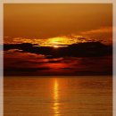 비 개인 후 이미지