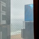여름 부산여행 : 해운대 옛날 팥빙수/밀양순대돼지국밥 국밥투어 후기
