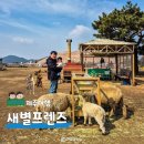 서쪽하늘풍경 | 제주도 새별프렌즈 서쪽 아이와 가볼만한 곳 동물원 먹이체험