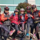 을숙도자전거문화체험협동조합 이미지