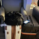 YOLO(욜로)민박 | LA여행 [2] : 라스베가스 투어 2박3일 / 욜로랄라 투어 후기 / 인앤아웃 / 힐튼 앳 리조트 호텔...