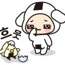 옥이부식 이미지