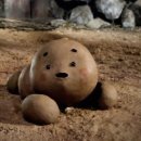 강아지 똥 이미지