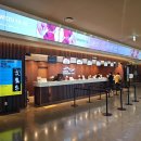 나윤선 ELLES 콘서트 이미지