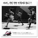 티케이지 이미지