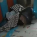 화성어린이집 이미지