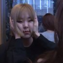 must protect at all cost! 이미지