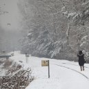 러브레터 이미지