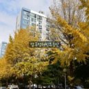 압구정-205 이미지