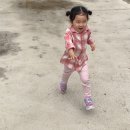 황매산 억새축제 | [황매산 억새축제 미리 다녀온 후기] 코스모스·수국까지 만개한 가을 풍경, 가족나들이 추천