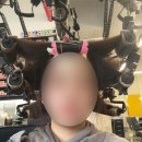 커트잘하기로 소문난 전주 미용실 :: [오아세 헤어] 효자점 방문 내돈내산 후기