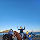 제주성산해마루&쌈총사횟집 이미지