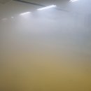 용인대 세미 태권도장 이미지