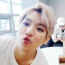 꼬기나랑 이미지