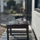 중장하녹 이미지