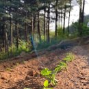 2021 가정의달 이미지