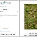 하늘지기 이미지