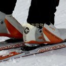 종신농장 이미지