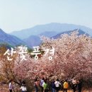 보곡산골민박 이미지