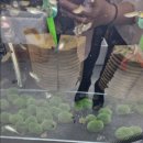 케이디스커스