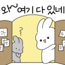 푸와차이나 이미지