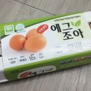 에그조아 이미지