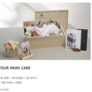 포포즈 반려동물장례식장 화성점 이미지