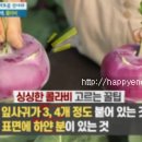 콜라비