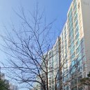 렉슬약국 이미지