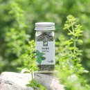 한국농장농업회사법인 주식회사 | 그라스팜 허브농장의 봄맞이 이야기