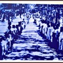 길머리 공원 이미지