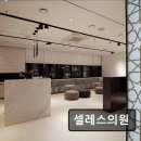 셀레스의원 이미지