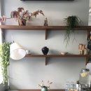 하나비하우스 이미지