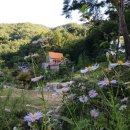 우둠지찜질방 이미지