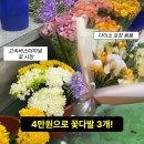 다이소 대신시장점 | 💐 고속터미널 꽃 시장에서 꽃 사고 직접 포장까지 해본 후기, 다이소 포장 용품으로 셀프 꽃다발 만들기