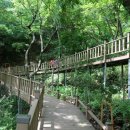제암산자연휴양림 더늠길 이미지