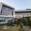 더(the)달콤 | 청주시 흥덕구 감성 카페 더멜(THE MEL) 방문 후기