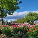 태화강국가정원 이미지