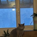 팬션 처음처럼 | [평창팬션추천] 마메벨펜션 다녀온 후기 (2025.12.13~2025.12.14)