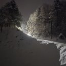 대설경보와 대설주의보의 차이, 발령 기준, 그리고 해제 조건에 대해 알아보겠습니다 이미지