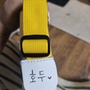 CFM애견유치원 네이버블로그