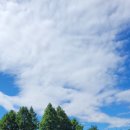 1순환로(3-170) 이미지