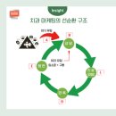 만선자원 | 치과 온라인 마케팅, 정말 솔직하게 치과 현실을 풀어내 보겠습니다.