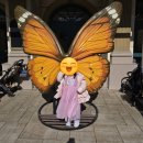 더에버 | 6살 아이와 2월 에버랜드 다녀온 후기 | 날씨·휴장정보·추천 코스 총정리