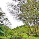 인천 남동구 인천대공원/기차왕국박물관카페 ('25.10.9) - 1 이미지