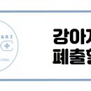 다산마리동물병원 이미지