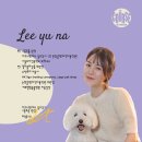 다온애견미용 | 강남구 논현동 애견 미용샵 베스트4 추천