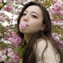 늘푸른전당 티스토리