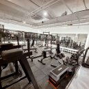 더온(THEON) 이미지